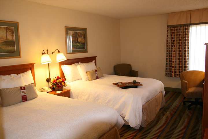 Hampton Inn Phoenix-צ'נדלר חדר תמונה
